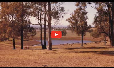ABC Interviews P.A Yeomans 1979