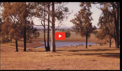 ABC Interviews P.A Yeomans 1979 (Part 1) (19)