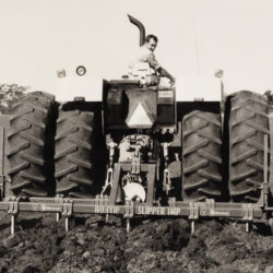 Bunyip Slipper at work